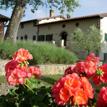 Gospodarstwo agroturystyczne Fattoria Di Belvedere *