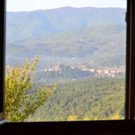 Fattoria Di Belvedere