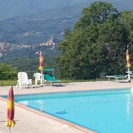Fattoria Di Belvedere *